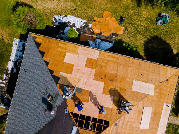 Best Roof Gutter Cleaning  in Nuevo, CA