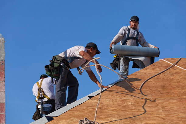 Best Roof Waterproofing Services  in Nuevo, CA